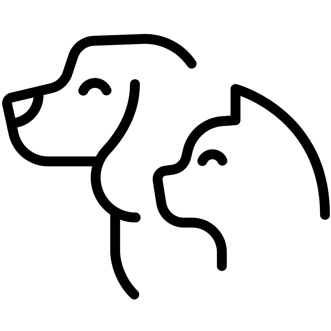 Pet Waste removal Services