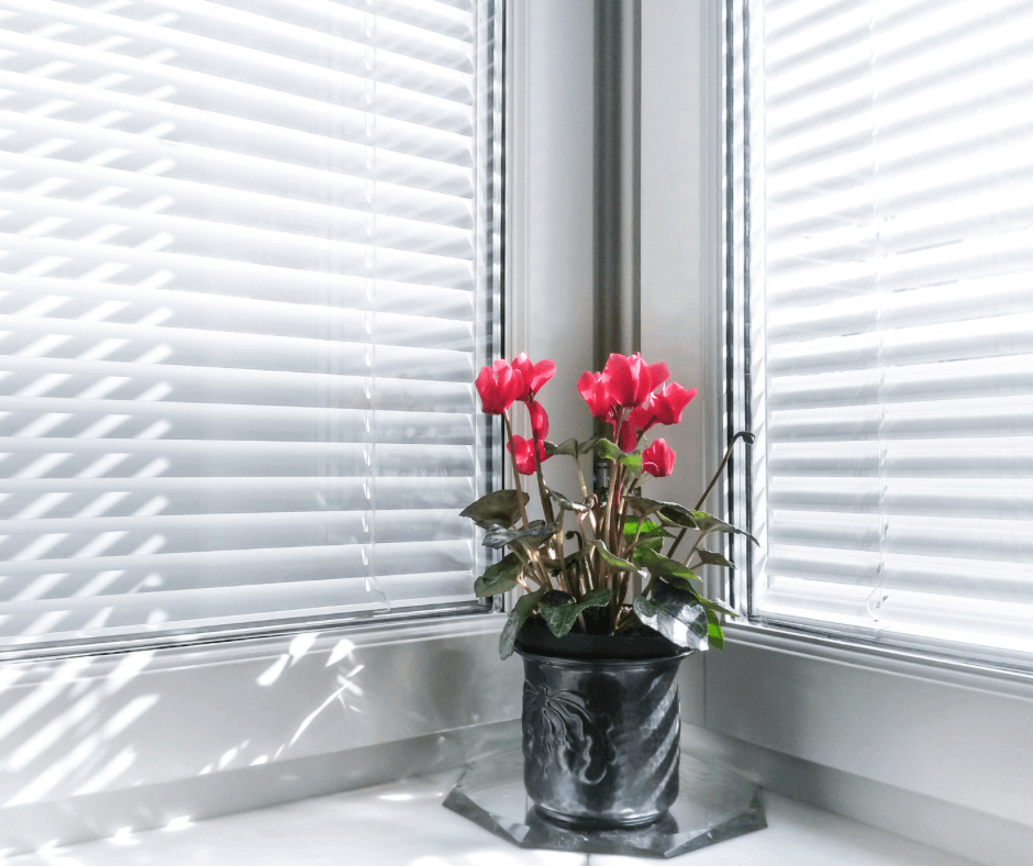 How to make your window blinds look like new
